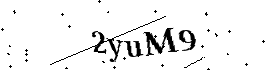 Bitte geben Sie die gezeigten Buchstaben und Zahlen ein
