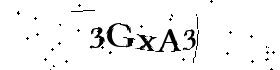 Bitte geben Sie die gezeigten Buchstaben und Zahlen ein