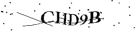 Bitte geben Sie die gezeigten Buchstaben und Zahlen ein