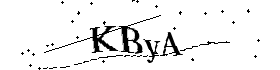 Bitte geben Sie die gezeigten Buchstaben und Zahlen ein