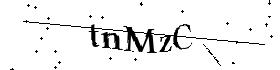 Bitte geben Sie die gezeigten Buchstaben und Zahlen ein