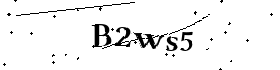 Bitte geben Sie die gezeigten Buchstaben und Zahlen ein